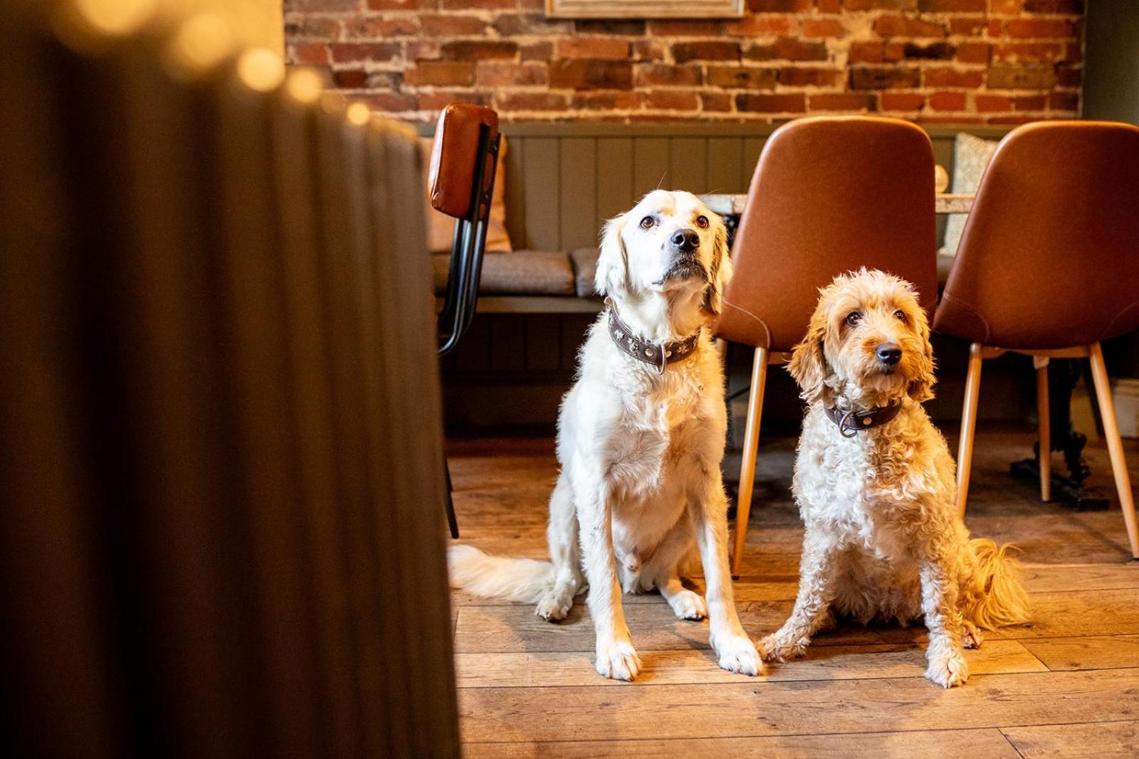 The Boot Inn Burton-upon-Trent Luaran gambar